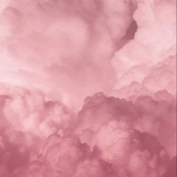 Ultra Soft Champion Hoodie Rose Pink Velvet - Picture 8 of 8